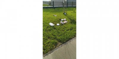 Başkan Eryılmaz: "Park ve mesire alanlarını temiz tutalım"