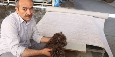 Halılar mikrop yuvası olmaması için 3 ayda bir temizlenmeli