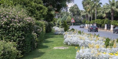 Kavşak ve refüjler artık daha yeşil