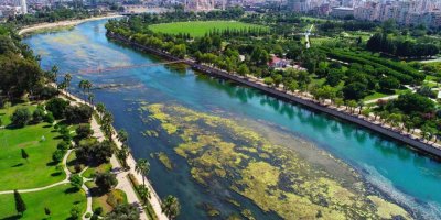 Seyhan Nehri’ni yosunlar istila etti