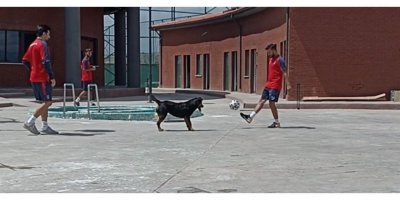 Medipol Başakşehirli futbolculardan sevimli rakibe çalım