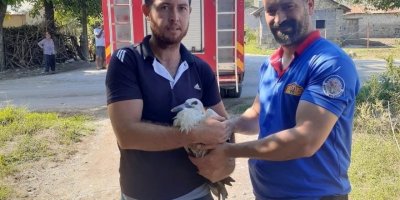 Yuvadan düşen yavru leyleğin yardımına itfaiye koştu