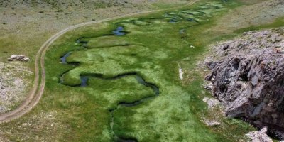 Her yerde yaz, orada bahar