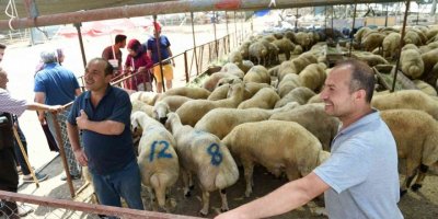 Seyhan’da "ücretsiz Kurban Kesim" Hizmeti