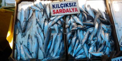 Av yasağından sonra tezgahlar boş kaldı, ’sardalya’ vatandaşın vazgeçilmezi oldu