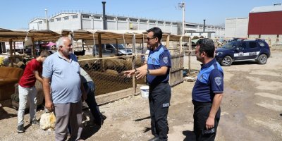 Zabıtadan Kurban Satış Yerlerinde Denetim