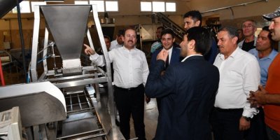 Vali Pehlivan, Kuş Üzümü Temizleme Ve Paketleme Tesisinde İncelemelerde Bulundu