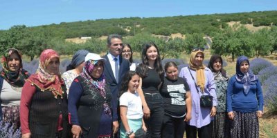 Isparta lavanta festivaline hazırlanıyor