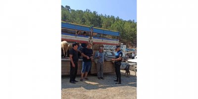 Bozyazı’da Hayvan Satıcıları Dolandırıcılara Karşı Bilgilendirildi