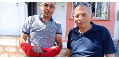 Yaralı kukumav kuşu yavrusu tedavi edilecek