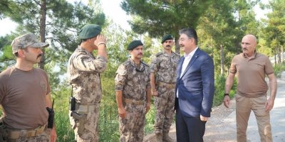 Vali Yılmaz: “amanoslar Güvende, Osmaniye Güvende”