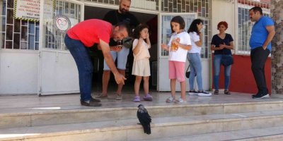 Okul bahçesinde sıcaktan bayılan karga, kendine gelince öğrenci kayıt sırasına girdi
