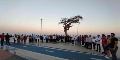 AK Partili gençlerden Mersin’deki ağaç katliamına tepki