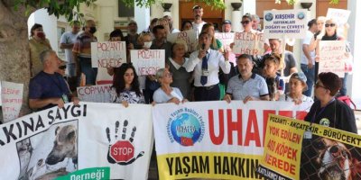 Hayvanseverler 400 köpeğin akıbetini sordu