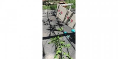 Mezitli’deki Okuma Evine Çirkin Saldırı