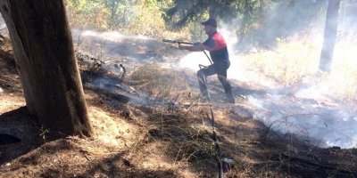 Çamlıkta çıkan büyümeden söndürüldü