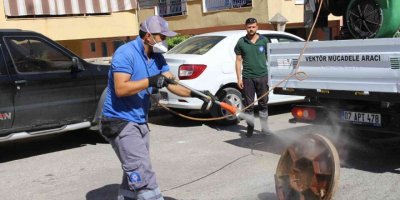 Sinek ve haşereyle mücadele sürüyor