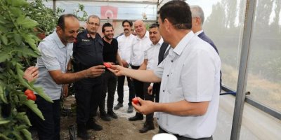 17. Söğüt Domates Kültür Festivali başladı