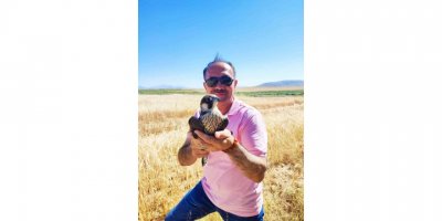 Yol kenarında yaralı buldukları doğana yardım eli uzattılar