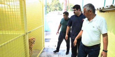 Başkan Topaloğlu: “Tüm canlıları korumaya devam edeceğiz”