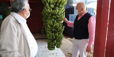 Alanya Muzu coğrafi işaret ile tescillendi