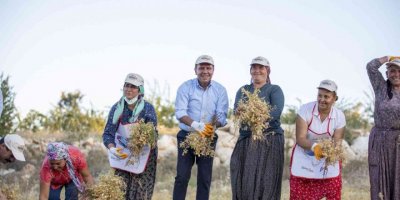 Seçer: "Tarımsal üretime katkı sunmak için her türlü desteği yapıyoruz"