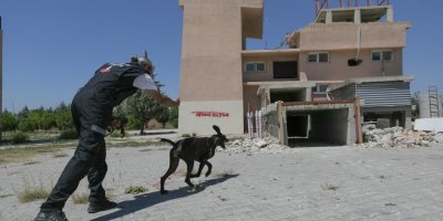 K9 Eğitmenleri Mersin’de Ortak Çalışma Yaptı