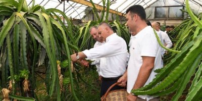 Vali Yazıcı: "En çok tarım ve hayvancılıkla uğraşanların kazanmasını isterim"