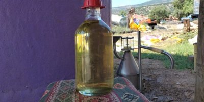 Türkiye’nin lavanta merkezinde üretilen lavanta yağı birçok ülkeye ihraç ediliyor