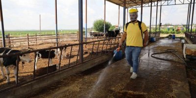 Yüreğir’de vektörle mücadele