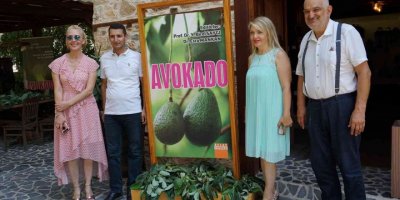 Akademisyenler avokadonun kitabını yazdı