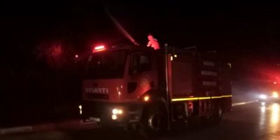 Çamlıkta çıkan yangın büyümeden söndürüldü