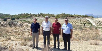 Mut’ta kayısı ıslah ve adaptasyon çalışmaları yapılacak