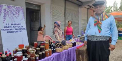 Feke’de Tapan Kültür ve Üzüm Şenliği