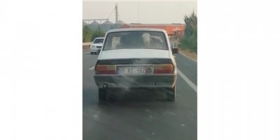 Otomobilin Arka Koltuğunda Buzağı Taşıdılar