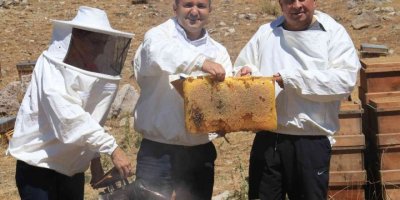 Petekler balla doldu, üreticinin yüzü güldü