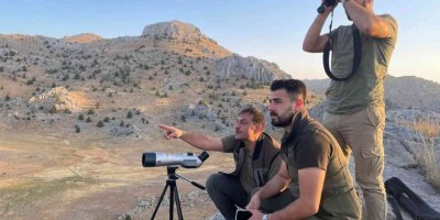 Yeni yaşamlarına başlayan ‘cerenler’ adım adım izleniyor