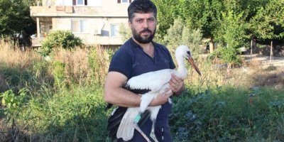 Adını "Leylektar" koydu, yorgun düşen leyleği iki gün misafir etti