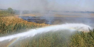 Osmaniye’de çıkan anız yangını söndürüldü