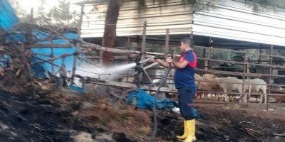 Otluk alanda çıkan yangın ağıla ulaşmadan söndürüldü