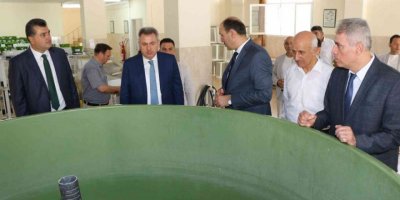 Göl ve göletlere 10 milyon yavru balık