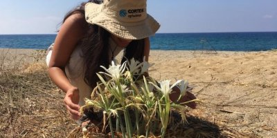 Kum zambağını koparana 220 bin TL’ye varan ceza uyarısı