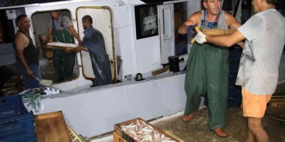 Akdeniz’den balıkçılar 24 saat sonra ilk avlarla döndü