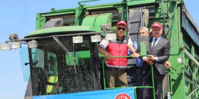 Bakan Kirişci Amik Ovası’nda pamuk hasadına katıldı