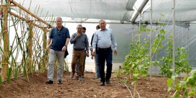 Tıbbi Aromatik Bitki Üretim Tesisi açıldı