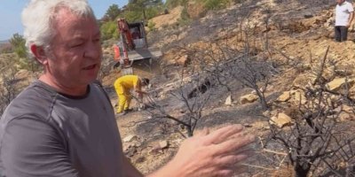 Prof. Dr. Yıldız dikkat çekti: “Yanan ormanlardaki en büyük tehlike besin kaybı”