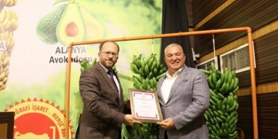 Coğrafi işaretli muzun logosunu Alanya halkı seçecek
