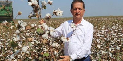 Doğan: "Pamuk üretimi desteklenmeli"