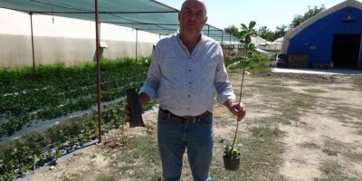 Organik solucan ve yarasa gübresiyle yetiştirilip, kilosu 150 liradan satılıyor