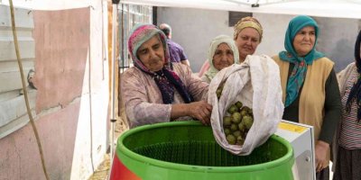 Ceviz soyma makinesi üreticinin yüzünü güldürüyor